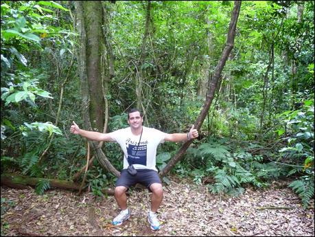 Itinerarios por la Selva Misionera (Argentina): Salto escondido, Moconá, Iguazú