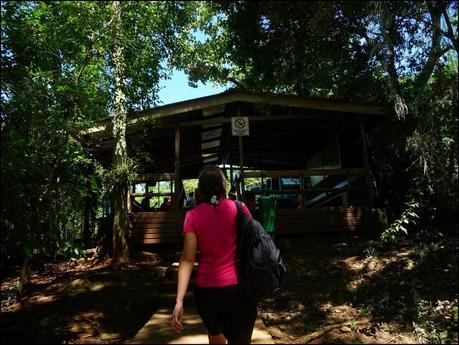 Itinerarios por la Selva Misionera (Argentina): Salto escondido, Moconá, Iguazú