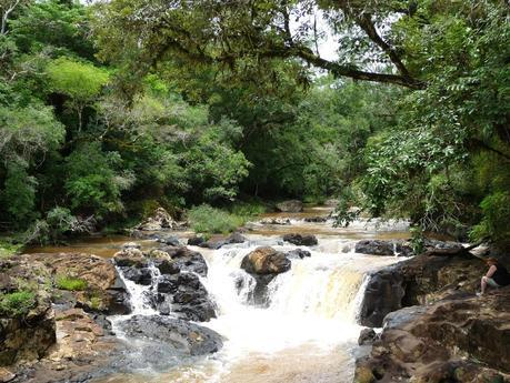 Itinerarios por la Selva Misionera (Argentina): Salto escondido, Moconá, Iguazú