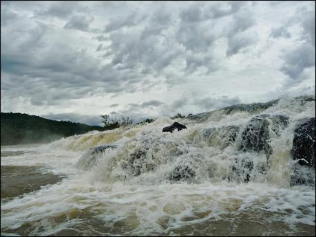 Itinerarios por la Selva Misionera (Argentina): Salto escondido, Moconá, Iguazú