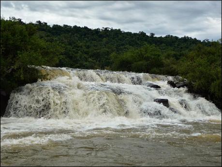 Itinerarios por la Selva Misionera (Argentina): Salto escondido, Moconá, Iguazú