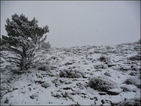 Penyagolosa 2014, nevada inesperada.