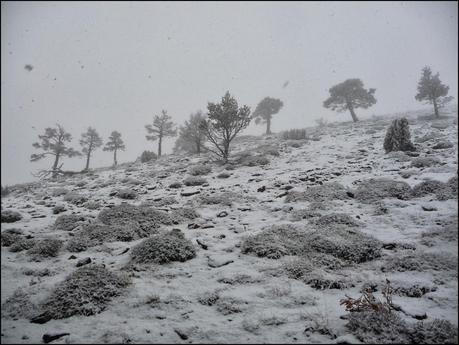 Penyagolosa 2014, nevada inesperada.