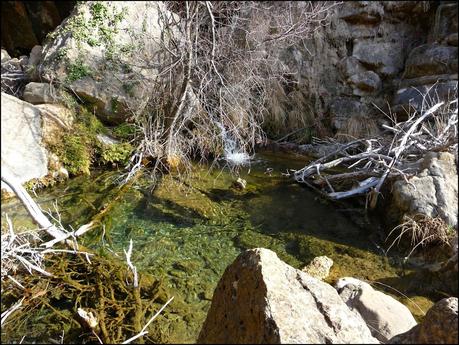 Penyagolosa 2014, nevada inesperada.