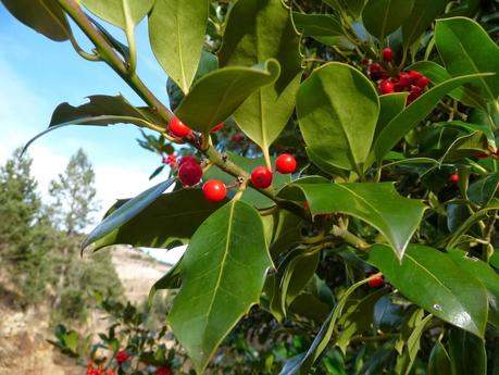 Mosqueruela - Las Truchas