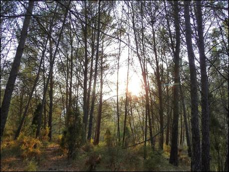 Un Paseo por La Crevá (Quebrada) de Cirat