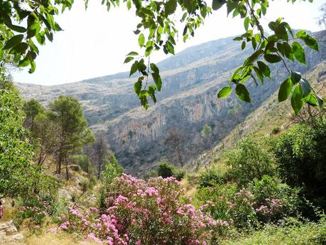 Rondando el Pou Clar