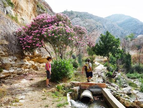 Rondando el Pou Clar