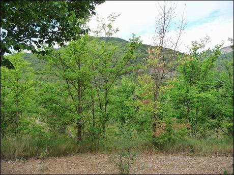 Salto de la Novia de Cirat con Los K2 de las Kumbres