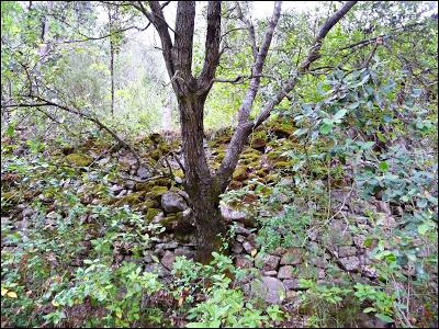 Salto de la Novia de Cirat con Los K2 de las Kumbres