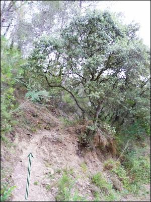 Salto de la Novia de Cirat con Los K2 de las Kumbres