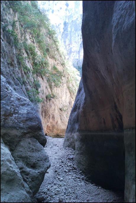 Descenso del Barranco de La Maimona