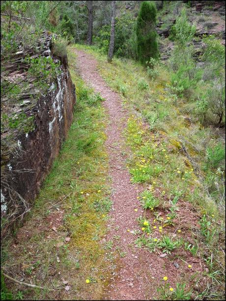 Las Pozas del Barranco de Las Salinas de Cirat