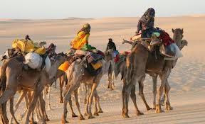 NADIE SABRÁ QUE EXISTES