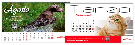 calendarios meses Consigue tu calendario Royal Canin 2015 (hasta 31 Diciembre o fin de existencias)