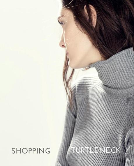 shopping_turtleneck_sweater