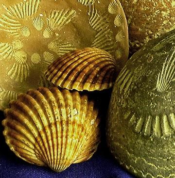 La cerámica cardial:  sobre algunos aspectos técnicos de su decoración.