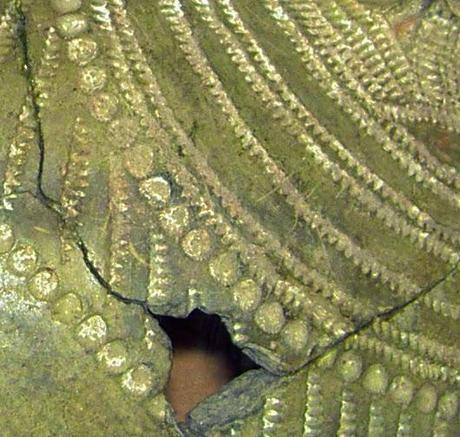 La cerámica cardial:  sobre algunos aspectos técnicos de su decoración.