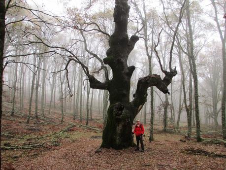 SIERRA DE SAN VICENTE (II)