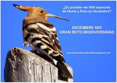 Diciembre 600 Gran Reto Biodiversidad