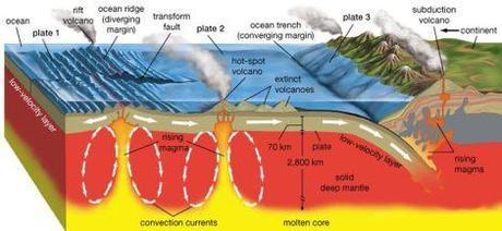 Ilustración 6. El diagrama muestra dos mecanismos que generan vulcanismo: la subducción y las plumas/penachos del manto. Imagen tomada de Maggie´s Science Connection.  