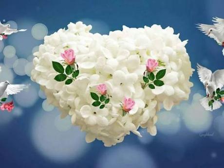 ideasandcreams y su primer premio: Liebster Award!! 10508494_10202591306926328_1939906155_n