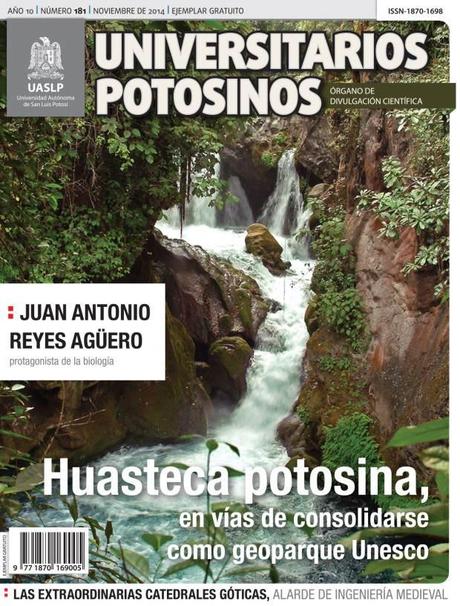 PORTADA Y FORROS 181 C