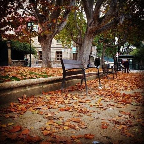 OTOÑO
