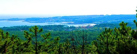 NUEVAS PESTAÑAS EN STOPCOMPRAS: EMPLEO E ÍNDICE