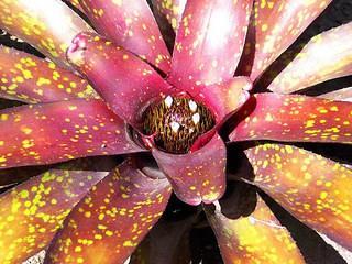 Centro de Arte La Estancia Centro de Arte La Estancia