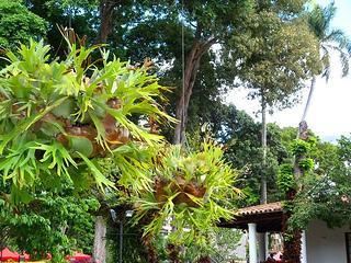 Centro de Arte La Estancia Centro de Arte La Estancia