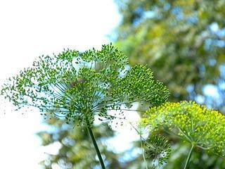Centro de Arte La Estancia Centro de Arte La Estancia