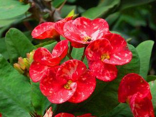 Centro de Arte La Estancia Centro de Arte La Estancia