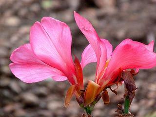 Centro de Arte La Estancia Centro de Arte La Estancia