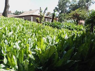 Centro de Arte La Estancia Centro de Arte La Estancia