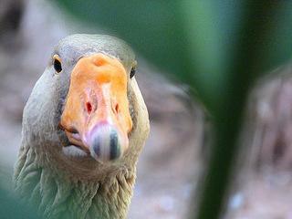 Centro de Arte La Estancia Centro de Arte La Estancia