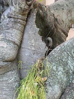 Centro de Arte La Estancia Centro de Arte La Estancia