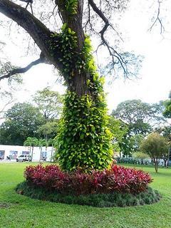 Centro de Arte La Estancia Centro de Arte La Estancia