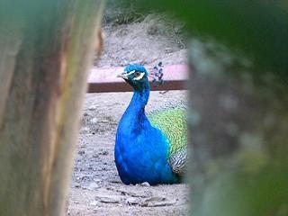 Centro de Arte La Estancia Centro de Arte La Estancia