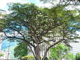 Centro de Arte La Estancia Centro de Arte La Estancia