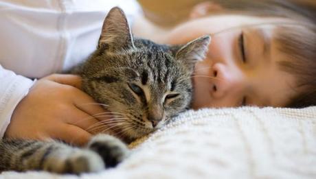 Campos Bio Acústicos , los Ronroneos del Gato ronroneo