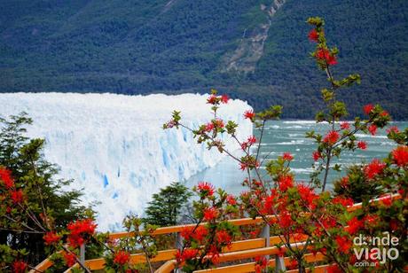 Pasarelas del Glaciar Perito Moreno