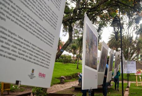 Sincrónica: Cinemateca al Parque