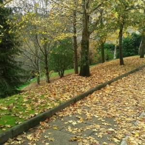 Liderando tu interior de modo natural. rural1