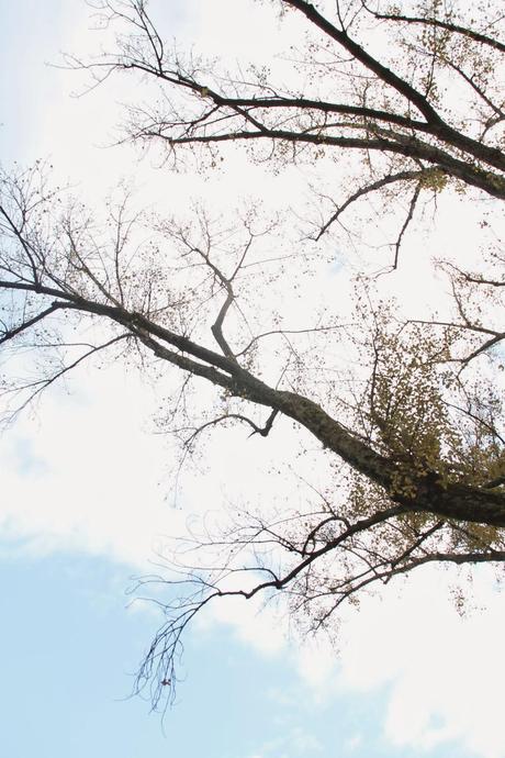 BIENVENIDO DICIEMBRE