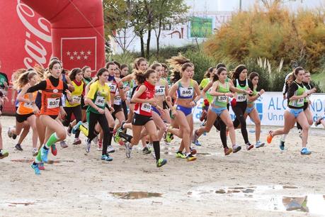 XXXIII CROSS INTERNACIONAL DE LA CONSTITUCIÓN 2014