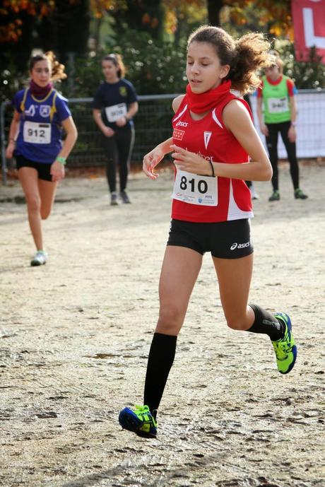 XXXIII CROSS INTERNACIONAL DE LA CONSTITUCIÓN 2014