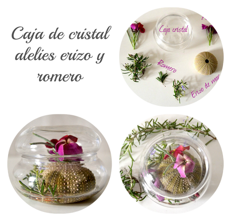 botellas, caja cristal, floreros de mesas, jarrones,copas, margaritas, rosas, centro flotante, botes metalicos, jarrars metalicas.