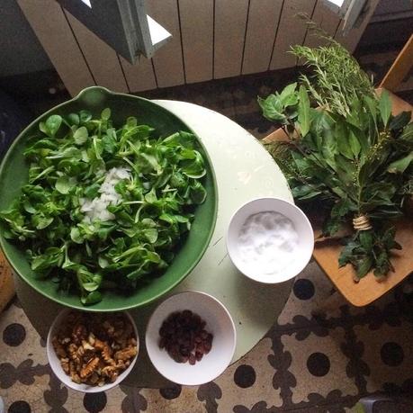 Fotos...Campamento de 11+1 Amigas