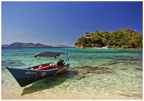 Fundación La Tortuga homenajeará a Mochima